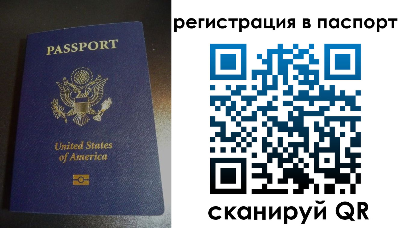 прописка для школы в Знаменске
